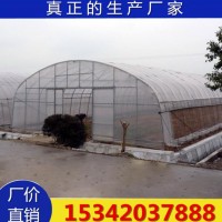 葡萄避雨棚 大棚骨架 新型 蔬菜大棚骨架 鍍鋅管大棚廠家生產(chǎn)