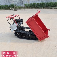 泉州農(nóng)用果園運(yùn)輸裝卸轉(zhuǎn)運(yùn)作業(yè)車 全地形汽油履帶式山地爬山虎