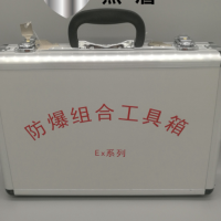 防爆工具套裝 供應(yīng) 無(wú)火花 防爆套裝工具10件套