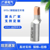 DTLC銅鋁插針 空開專用銅鋁鴨嘴鼻 插針線鼻子DTLZ